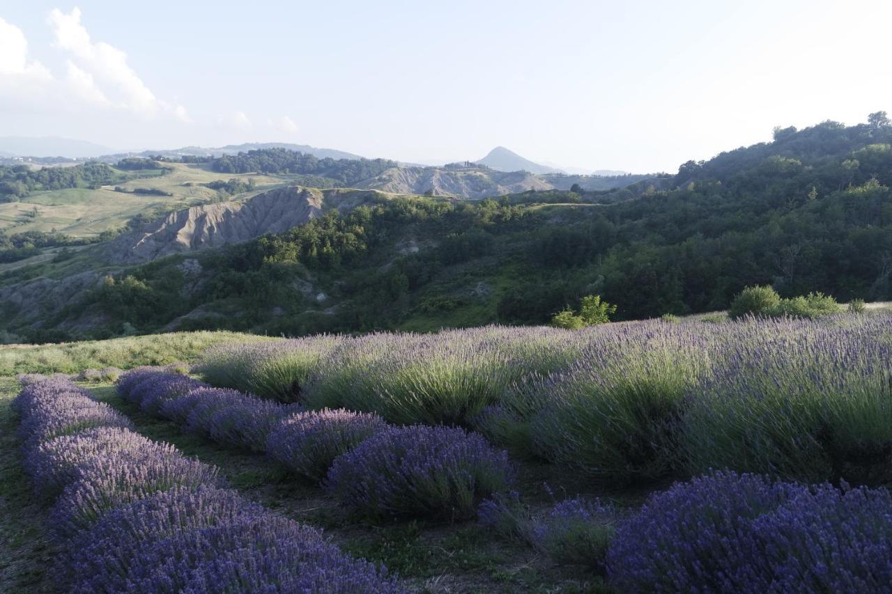 Casale Monte Valestra *